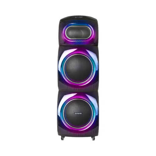 اسپیکر شارژی حرفه ای آیوا مدل AW-X1108DSP PRO
